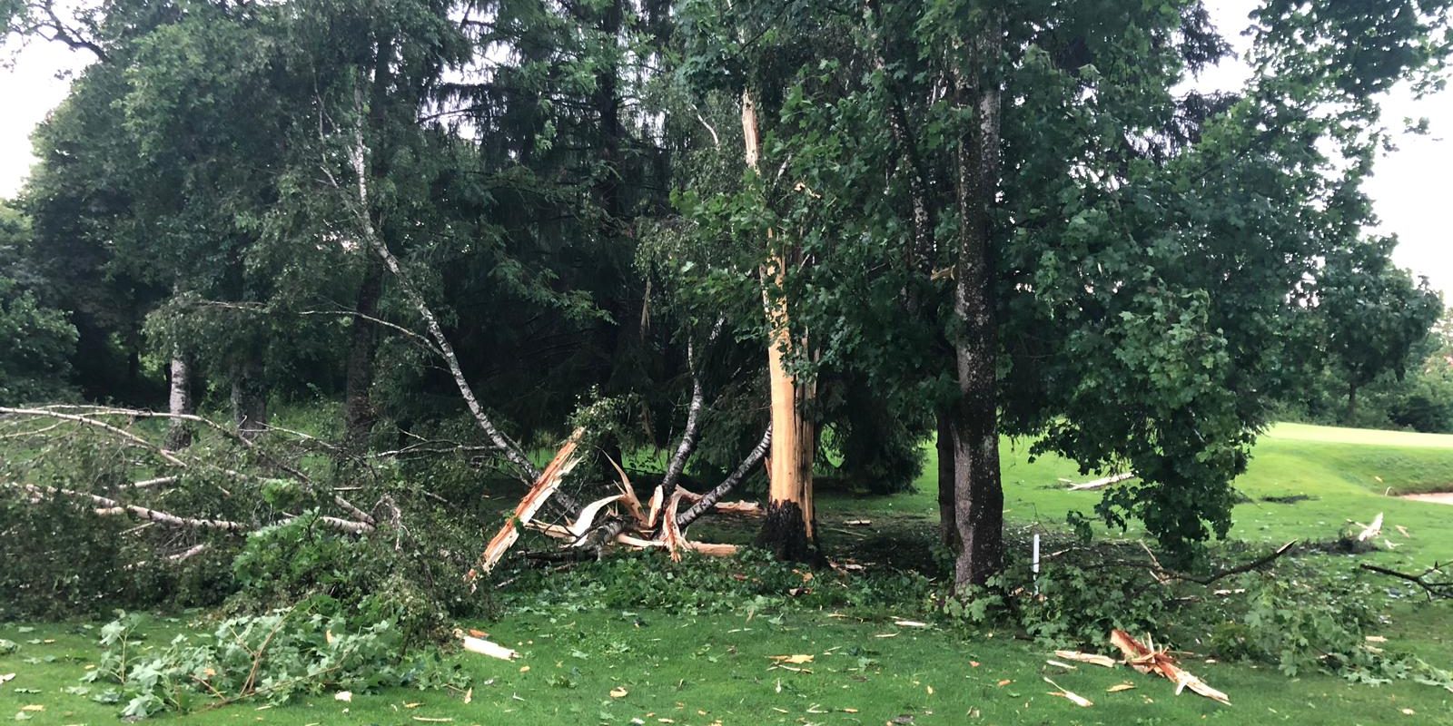 55650BC7-117C-438E-A1FF-852C3F267FD7